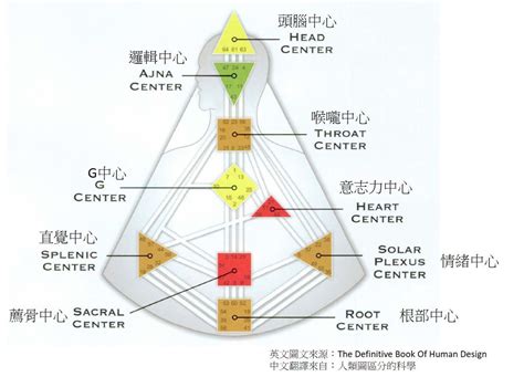 九大能量|九大能量中心 人類圖初學者懶人包